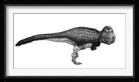 Black Ink Drawing of Tyrannosaurus Rex Framed Print