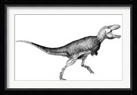 Black Ink drawing of Bistahieversor Sealeyi Framed Print