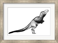 Black Ink Drawing of Daspletosaurus Torosus Fine Art Print