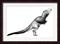 Black Ink Drawing of Daspletosaurus Torosus Fine Art Print