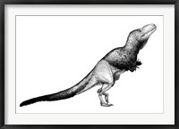 Black Ink Drawing of Daspletosaurus Torosus Framed Print