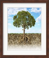 Cross section of Soil Showing a Tree with its Roots Fine Art Print