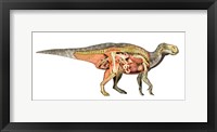 Internal anatomy of an Iguanodon dinosaur Fine Art Print