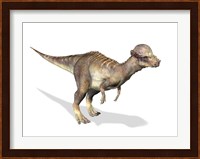 3D Rendering of a Pachycephalosaurus Dinosaur Fine Art Print