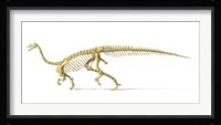 3D Rendering of a Plateosaurus Framed Print