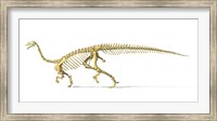 3D Rendering of a Plateosaurus Fine Art Print