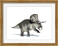 3D Rendering of a Zuniceratops Dinosaur Fine Art Print