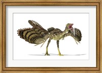 Archaeopteryx Dinosaur Fine Art Print