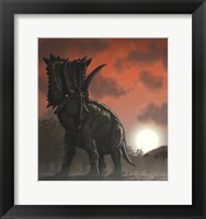 Coahuilaceratops Walking through a Cretaceous Sunset Fine Art Print