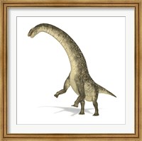 Titanosaurus Dinosaur on White Background Fine Art Print