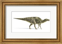 Maiasaura Dinosaur on White Background Fine Art Print
