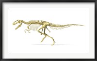 3D Rendering of a Giganotosaurus Dinosaur Skeleton Fine Art Print