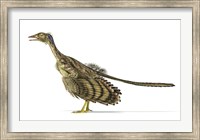 Archaeopteryx Dinosaur on White Background Fine Art Print