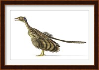 Archaeopteryx Dinosaur on White Background Fine Art Print