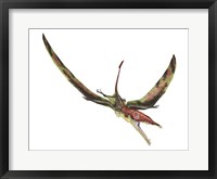 Eudimorphodon Flying Prehistoric Reptile Fine Art Print