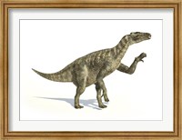 Iguanodon Dinosaur in Dynamic Posture Fine Art Print