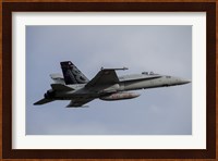Swiss Air Force F-18C Hornet used for Air Policing Fine Art Print