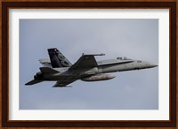 Swiss Air Force F-18C Hornet used for Air Policing Fine Art Print
