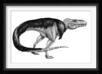 Black Ink Drawing of Alioramus Remotus Framed Print