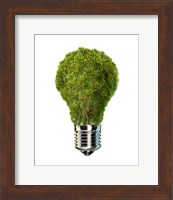 Light Bulb with Tree Inside glass, Isolated on White Background Fine Art Print