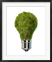 Light Bulb with Tree Inside glass, Isolated on White Background Fine Art Print