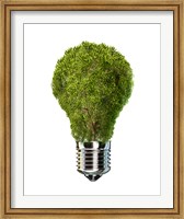 Light Bulb with Tree Inside glass, Isolated on White Background Fine Art Print