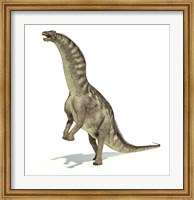 Amargasaurus Dinosaur in Dynamic Posture Fine Art Print