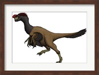 Citipati, an Oviraptorid from the Cretaceous Period Fine Art Print