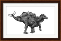 Pencil Drawing of Wuerhosaurus Homheni Standing on its Hind Legs Fine Art Print