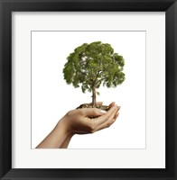 Woman's Hands Holding Soil with a Tree Fine Art Print