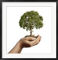 Woman's Hands Holding Soil with a Tree Fine Art Print