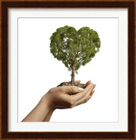 Woman's Hands holding Soil with a Tree Heart Shaped Fine Art Print