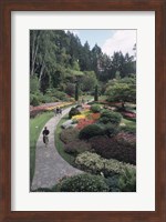 Sunken Garden at Butchart Gardens, Vancouver Island, British Columbia, Canada Fine Art Print