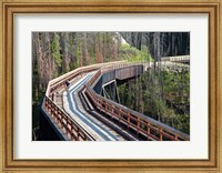 Bicycling, Kettle Valley Railway, British Columbia Fine Art Print