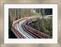 Bicycling, Kettle Valley Railway, British Columbia Fine Art Print