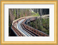 Bicycling, Kettle Valley Railway, British Columbia Fine Art Print