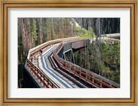 Bicycling, Kettle Valley Railway, British Columbia Fine Art Print