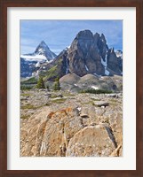 Scenic of Mt Assiniboine and Wedgwood Peak, BC, Canada Fine Art Print