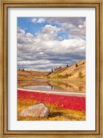 Grassland landscape, Lac Du Bois Grasslands Park, Kamloops, BC, Canada Fine Art Print