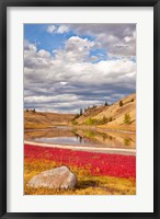 Grassland landscape, Lac Du Bois Grasslands Park, Kamloops, BC, Canada Fine Art Print