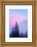 Canada, British Columbia, Mount Robson Park Foggy sunrise Fine Art Print