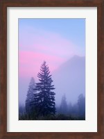 Canada, British Columbia, Mount Robson Park Foggy sunrise Fine Art Print