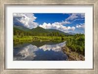 Beaver pond along the Flathead River near Fernie, British Columbia, Canada Fine Art Print