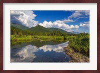 Beaver pond along the Flathead River near Fernie, British Columbia, Canada Fine Art Print