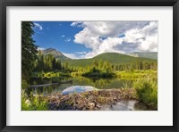 Flathead River, British Columbia, Canada Fine Art Print