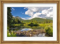 Flathead River, British Columbia, Canada Fine Art Print