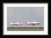 The Snowbirds 431 Fine Art Print