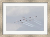 The Snowbirds 431 Royal Canadian Air Force Fine Art Print
