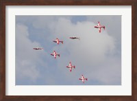 The Snowbirds of the Royal Canadian Air Force Fine Art Print