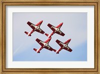 The Snowbirds 43 Squadron of the Royal Canadian Air Force Fine Art Print